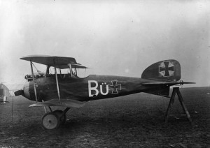 Albatross D1