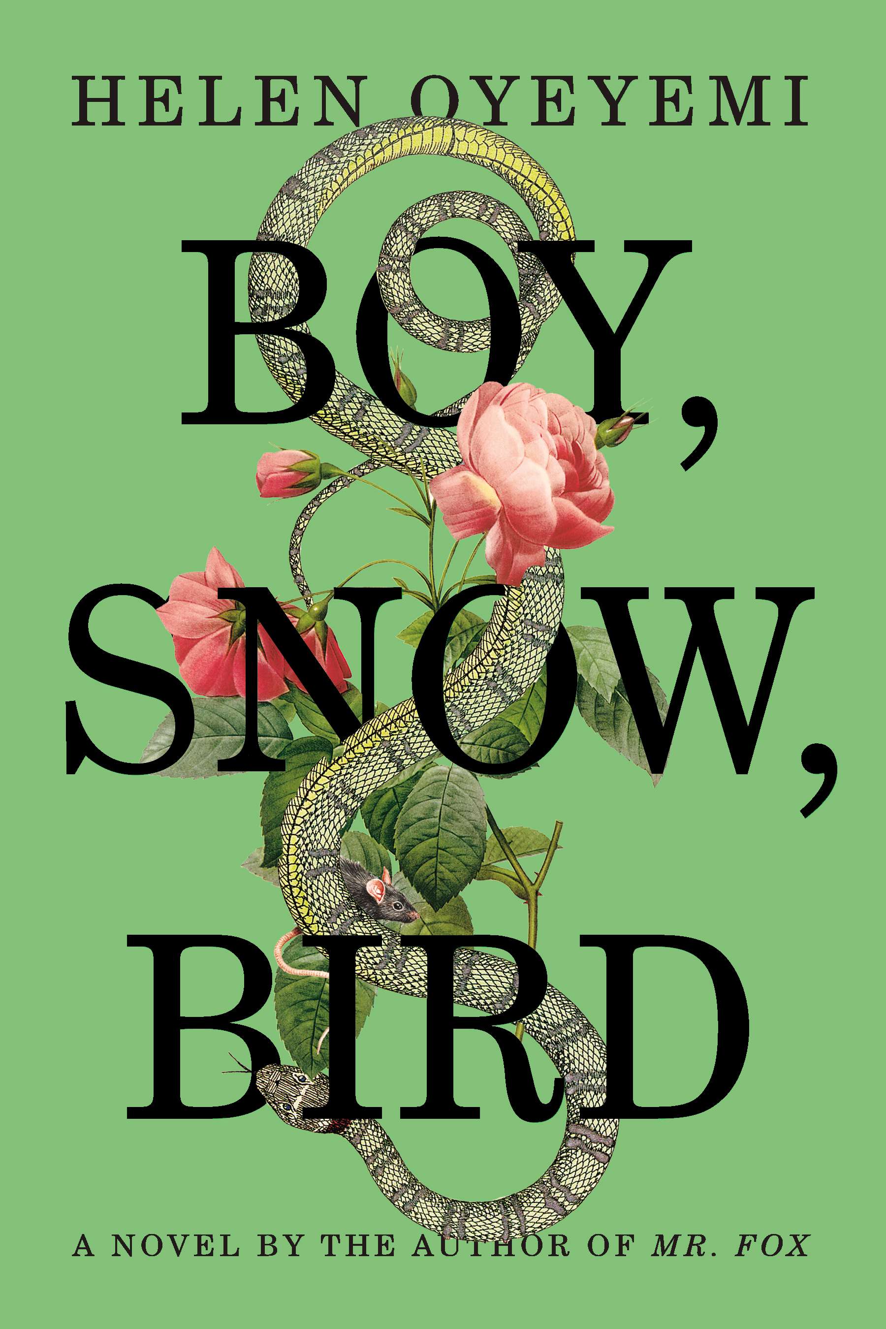 BOY, SNOW, BIRD jacket