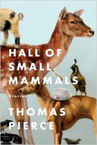small mammals