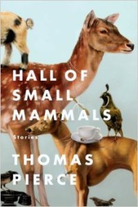 small mammals