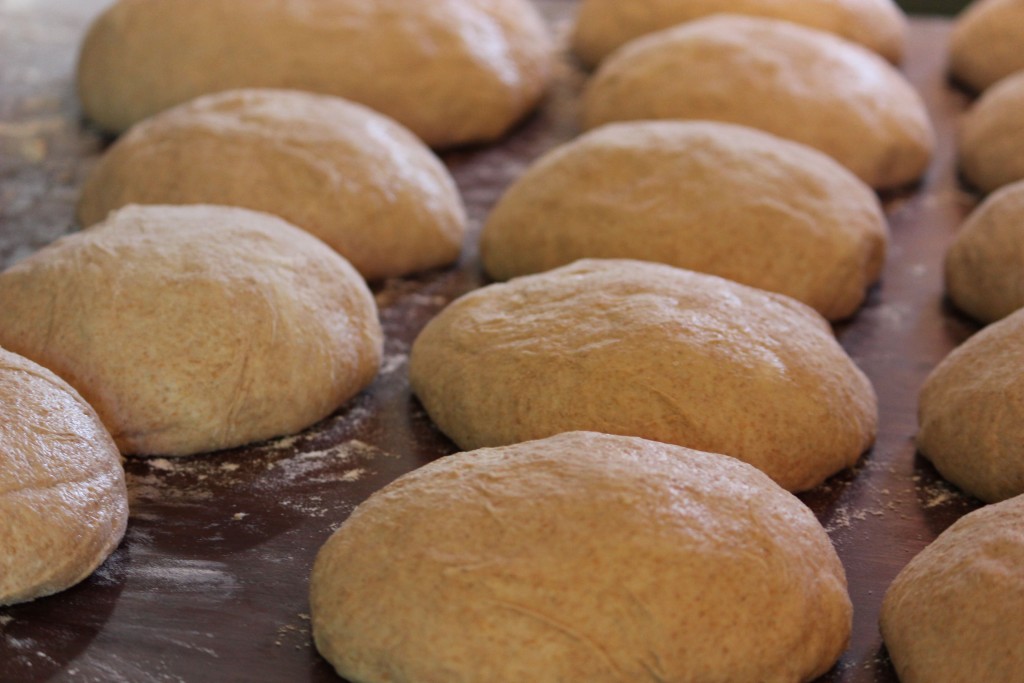 Bread dough prepared by Mark Stambler. Photo credit: Leyna Lightman