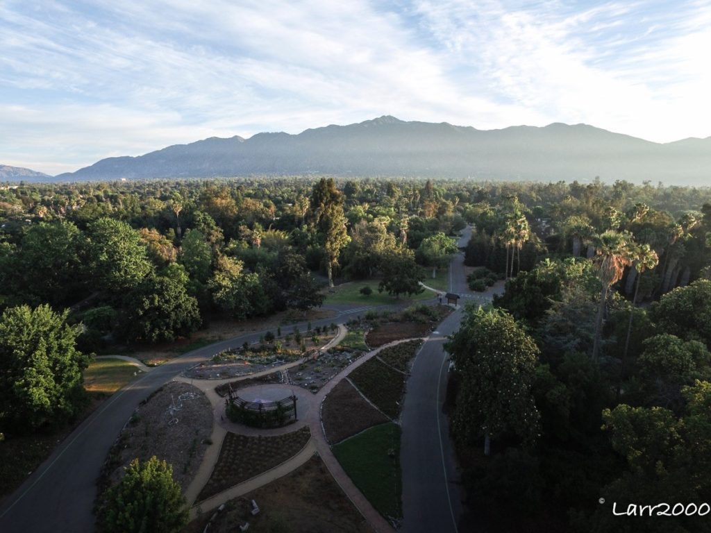 Photo Credit: Larr Cunningham
